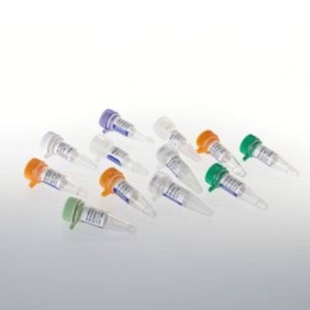 Buy ImProm-II(TM) Reverse Transcription System, 100 reactions in NZ.