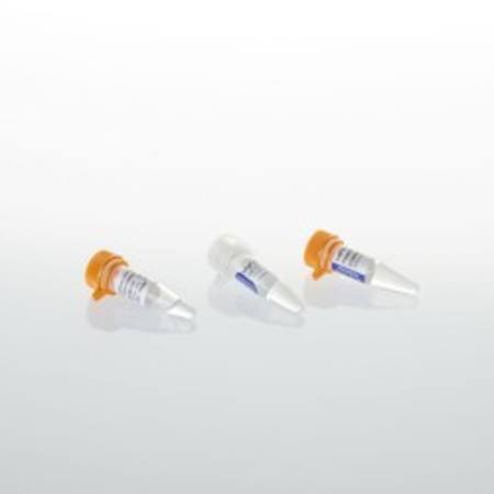 Buy ImProm-II(TM) Reverse Transcriptase, 100 Reactions in NZ. 