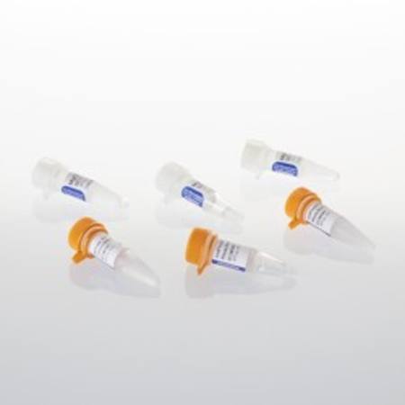 Buy ImProm-II(TM) Reverse Transcriptase, 500 Reactions in NZ.