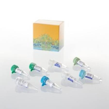 Buy GoScript(TM) Reverse Transcription System, 50 rxn in NZ.