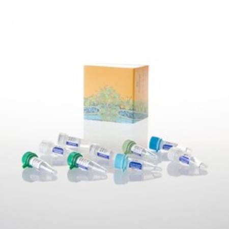 Buy GoScript(TM) Reverse Transcription System, 100 rxn in NZ.