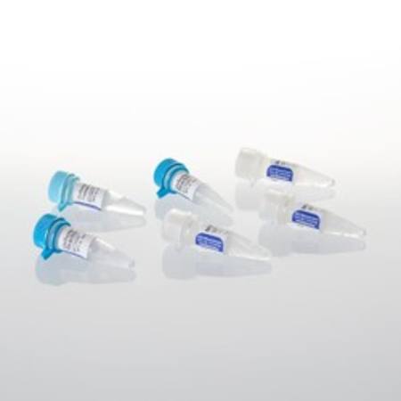 Buy GoScript(TM) Reverse Transcriptase, 500 rxn in NZ.