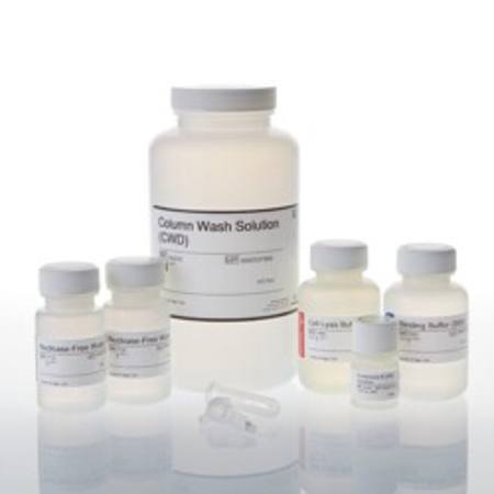 Buy ReliaPrep(TM) Blood gDNA Miniprep System, 250 Preps in NZ.