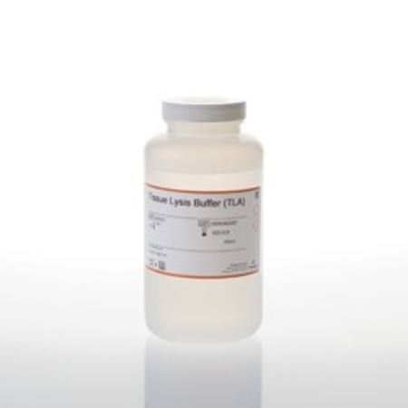 Buy Tissue Lysis Buffer (TLA), 500ml in NZ. 
