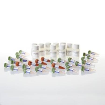 Buy GoTaq(R) qPCR Master Mix, 25ml in NZ.