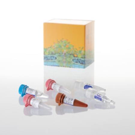 Buy GoTaq(R) Probe 1-Step RT-qPCR System 2ml in NZ.