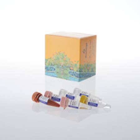 Buy GoTaq(R) Endure RT-qPCR Direct Amp Bundle in NZ.