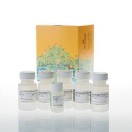Buy ReadyAmp(TM) Genomic DNA Purification System in NZ.
