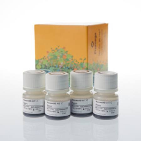 Maxwell(R) HT C Resin, 5.5ml