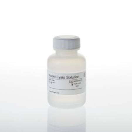 Buy Nuclei Lysis Solution, 50ml in NZ.