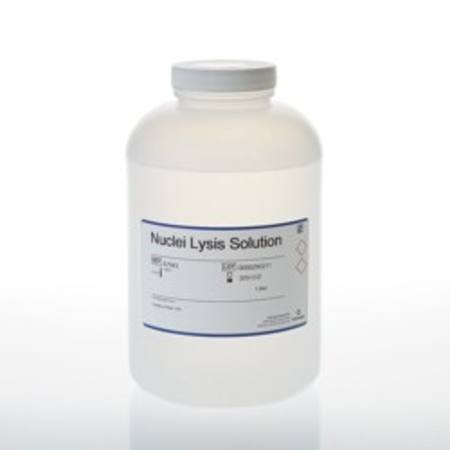 Buy Nuclei Lysis Solution, 1000ml in NZ. 