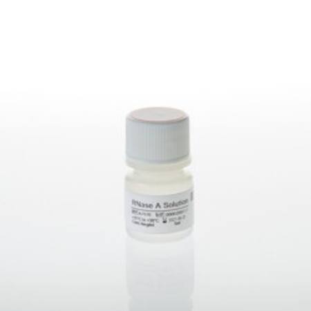RNaseA Solution, 4mg/ml, 5ml