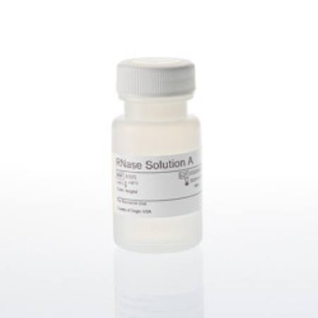 RNase Solution A, 4mg/ml,16ml