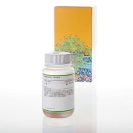Buy MagneSil(R) Green, 100ml in NZ.