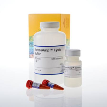 Buy XpressAmp(TM) Direct Amplification Reagents, HT in NZ. 