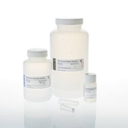 Buy Wizard(R) SV Gel and PCR Clean-up System, 250 preps in NZ.