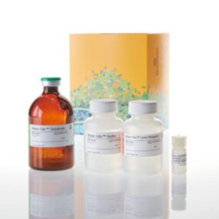 Buy Water-Glo(TM) 96 Reagents Aqueous in NZ. 