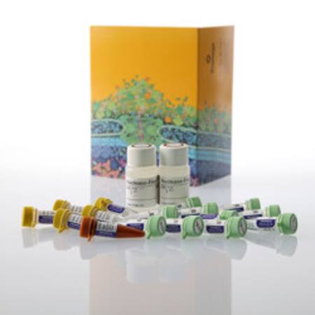 Buy GoTaq(R) Enviro RT-qPCR System, 1000 rxn in NZ.