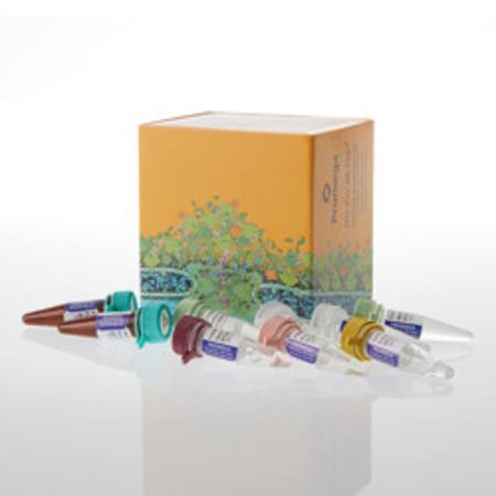 Buy GoTaq(R) Enviro Wastewater Flu A, Flu B, SC2 System in NZ.