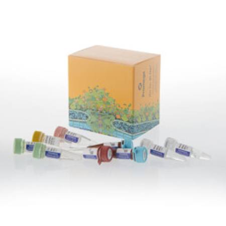 Buy GoTaq(R) Enviro Wastewater RSV, Flu, SC2 System in NZ. 