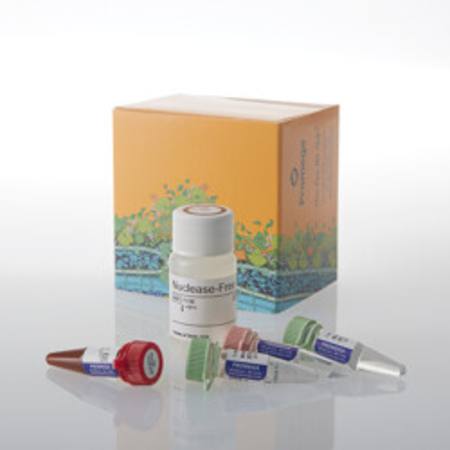 Buy GoTaq(R) Legionella pneumophila qPCR Kit in NZ.