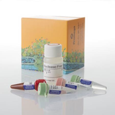Buy GoTaq(R) Legionella spp/pneumophila/SG1 qPCR Kit in NZ.