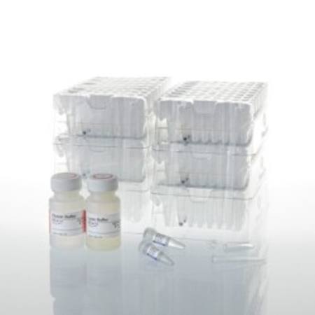 Buy Maxwell(R) CSC Blood DNA Kit in NZ.