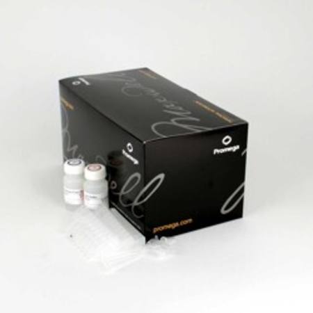 Buy Maxwell(R) RSC Viral TNA in NZ.