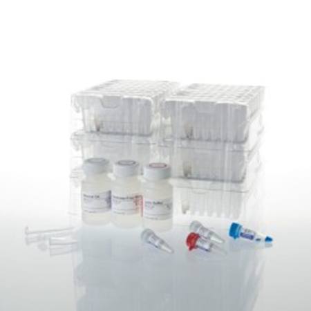 Buy Maxwell(R) CSC DNA FFPE Kit in NZ.
