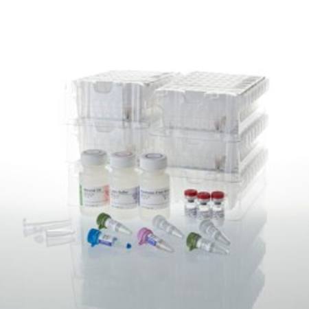 Maxwell(R) CSC RNA FFPE Kit