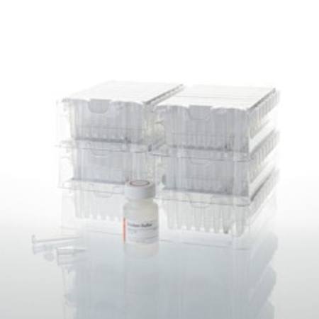 Buy Maxwell(R) RSC Cell DNA in NZ.