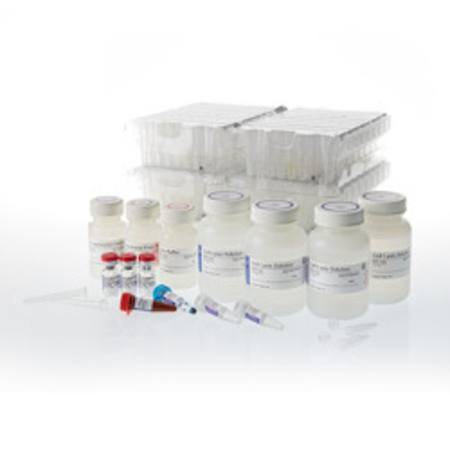 Buy Maxwell(R) RSC simplyRNA Blood in NZ.