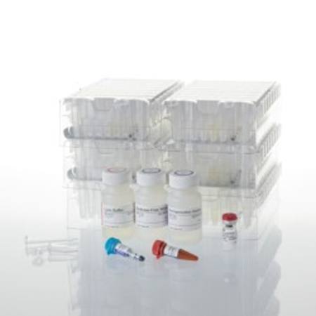Buy Maxwell(R) RSC simplyRNA Cells in NZ.