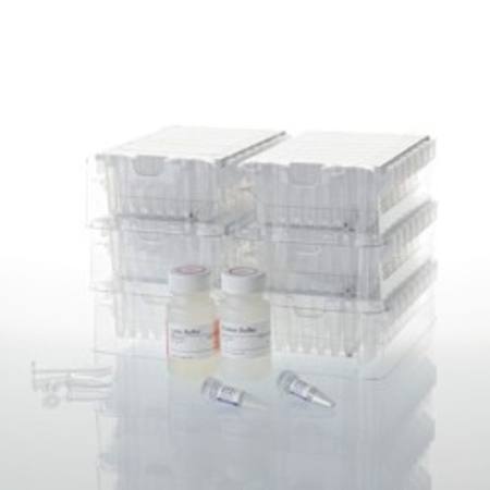 Buy Maxwell(R) RSC Blood DNA in NZ.
