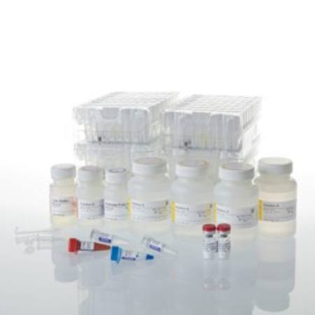 Buy Maxwell(R) CSC RNA Blood Kit in NZ. 