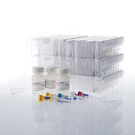 Maxwell(R) RSC Xcelerate DNA FFPE Kit