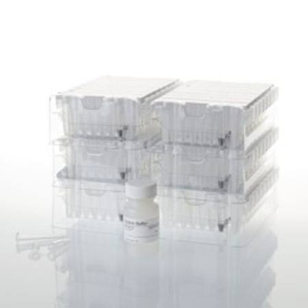 Buy Maxwell(R) RSC Buffy Coat DNA Kit in NZ.