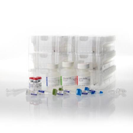 Buy Maxwell(R) CSC XtractAll FFPE DNA/RNA Kit in NZ.