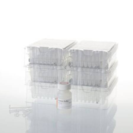 Buy Maxwell(R) RSC Stabilized Saliva DNA Kit in NZ.