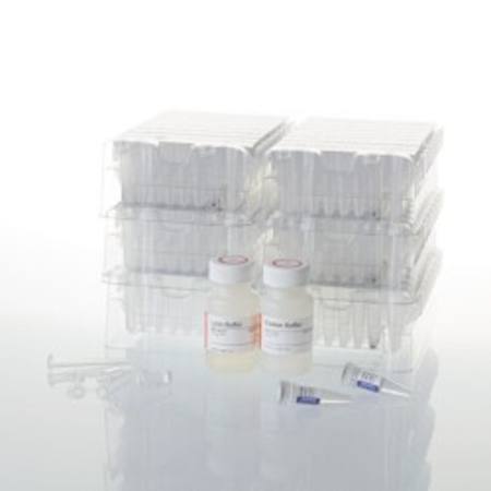 Buy Maxwell(R) RSC Buccal Swab DNA Kit in NZ. 