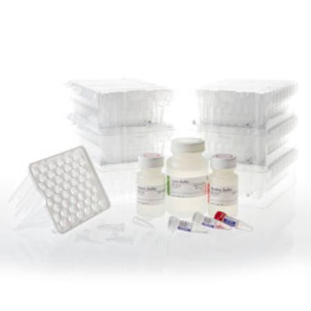Buy Maxwell(R) RSC Fecal Microbiome DNA Kit in NZ.