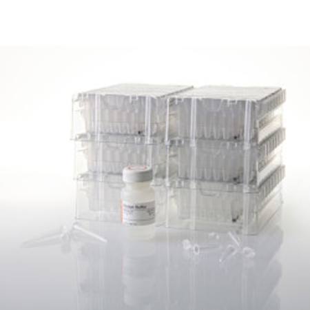 Buy Maxwell(R) CSC Whole Blood DNA Kit in NZ.