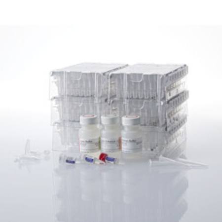 Buy Maxwell(R) RSC Genomic DNA Kit in NZ. 