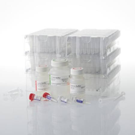 Buy Maxwell(R) RSC PureWater Kit in NZ.