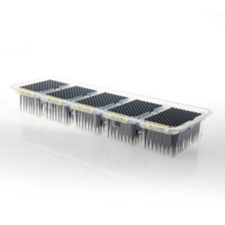Buy Maxprep(TM) 300uL Conductive Filter Tips (60 Tip Boxes) in NZ. 
