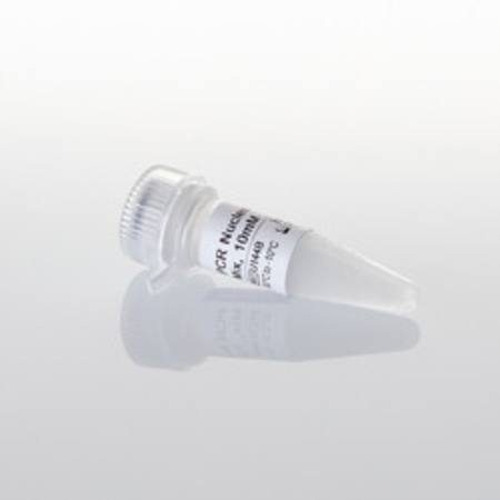 Buy PCR Nucleotide Mix, 10mM, 1000ul in NZ.