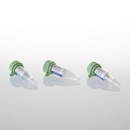 Buy T4 DNA Ligase Buffer Pack in NZ. 