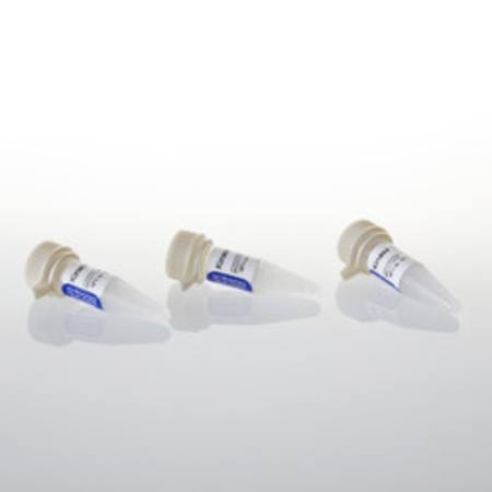 Buy T4 PNK Buffer Pack in NZ. 