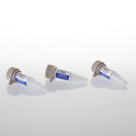 Buy 2X Rapid Ligation Buffer, 3 x 500ul in NZ. 