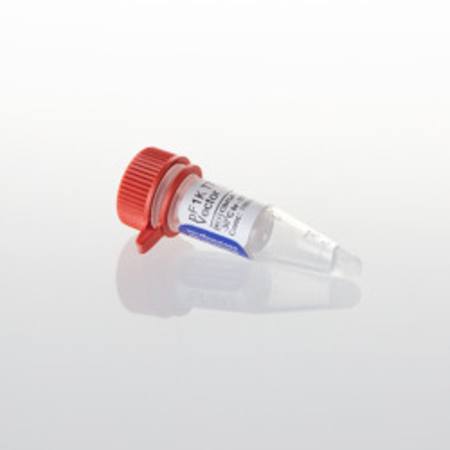 Buy pF1K T7 Flexi(R) Vector, 20ug in NZ. 